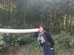 -苏州河梦清园环保主题公园