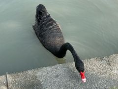 -东华大学(松江校区)