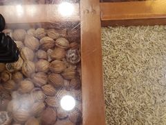 -宽窄巷子成都小吃(建文店)