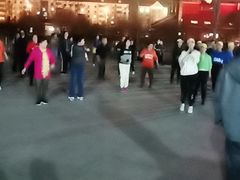 -绿岛公园(滨海新区)
