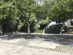 -伯先公园