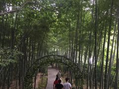 -杭州黄龙洞