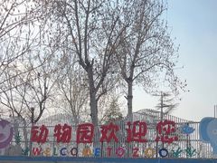 -保定市动物园