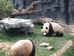 -五龙山野生动物王国