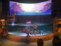 -沈阳海洋探索中心