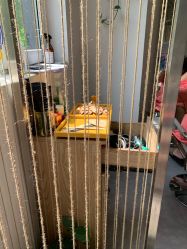 -MAGIC米几发型设计·羊毛卷