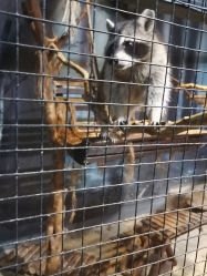 -酷嗒动物文化乐园(cutezoo西溪乐天城店)