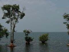 -大理洱海