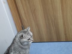 -博特宠物医院24h犬猫全科.骨科·异宠