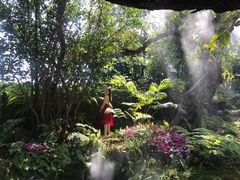 -Chom Cafe and Restaurant