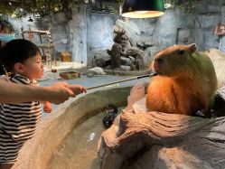 -Zoolung Zoolung动物主题公园(海信广场店)