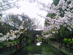 -永和大王·现磨豆浆·卤肉饭(九亭SH085店)