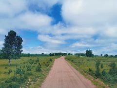 -塞罕坝国家级自然保护区