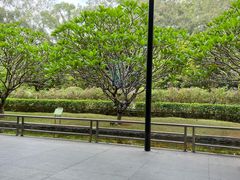 -南宁荔园维景国际酒店·荔园中餐厅