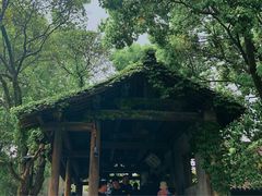 -乌镇景区