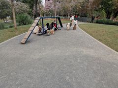 -景田北六街公园宠物主题园