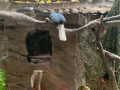 -长鹿旅游休博园