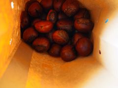 -高记福桂桂花糖炒栗(鼓楼店)