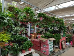 -秦美花卉(天朗·莱茵小城2期店)