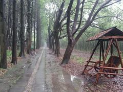 android_upload_pic-同里国家湿地公园