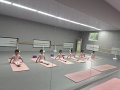 -蒲公英舞蹈艺术中心(促进路校区)