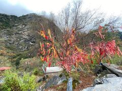 -叠溪松坪沟景区