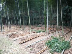 -黄公望隐居地