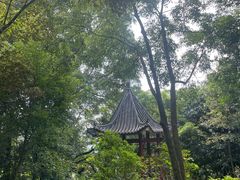 -广州市石门国家森林公园
