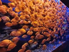 -多彩贵州城极地海洋世界