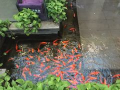-旺顺阁鱼头泡饼(小红门店)