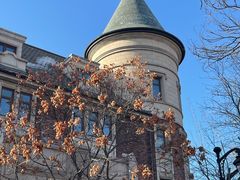 -天津五大道文化旅游区