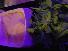 土豆-热火朝天鲜切牛肉火锅(南强街巷店)