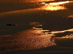 -青岛石老人海水浴场