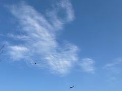 -杭州城北体育公园