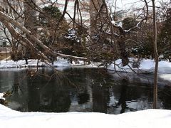 -北海道厅旧本厅舍(旧本庁舎)