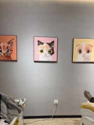-洗脸猫·洗脸吧