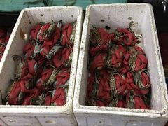 -莲花公园煎蟹(总店)