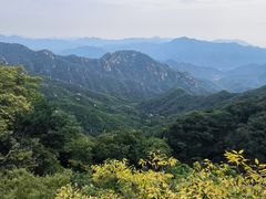 -大岭沟猕猴桃谷风景区