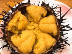 -樱の花亭日本料理店