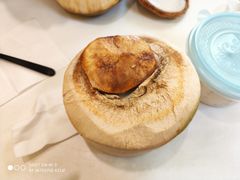 椰子冻-志龙皇冠吃货椰子铺