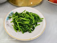 -九里香(三世传承店)