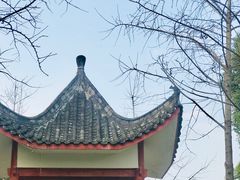 -大渡口区义渡公园
