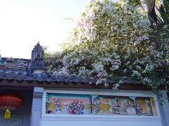 -深圳国际园林花卉博览园