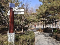 -大兴滨河森林公园