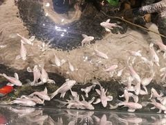 -正佳雨林生态植物园