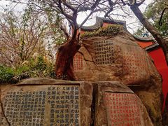 -乌山风景区