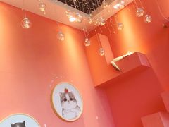 -藏猫猫咖啡主题馆(中央大道店)