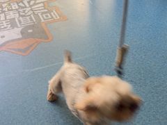 -宠颐生猫科·内科皮肤科(西平世纪城店)