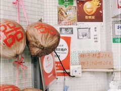 -洪馨椰子