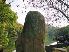 -白马涧龙池景区